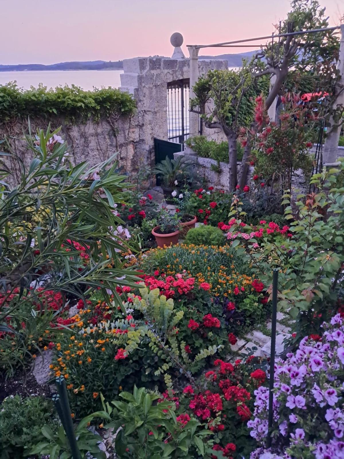 Appartement Ivanka *