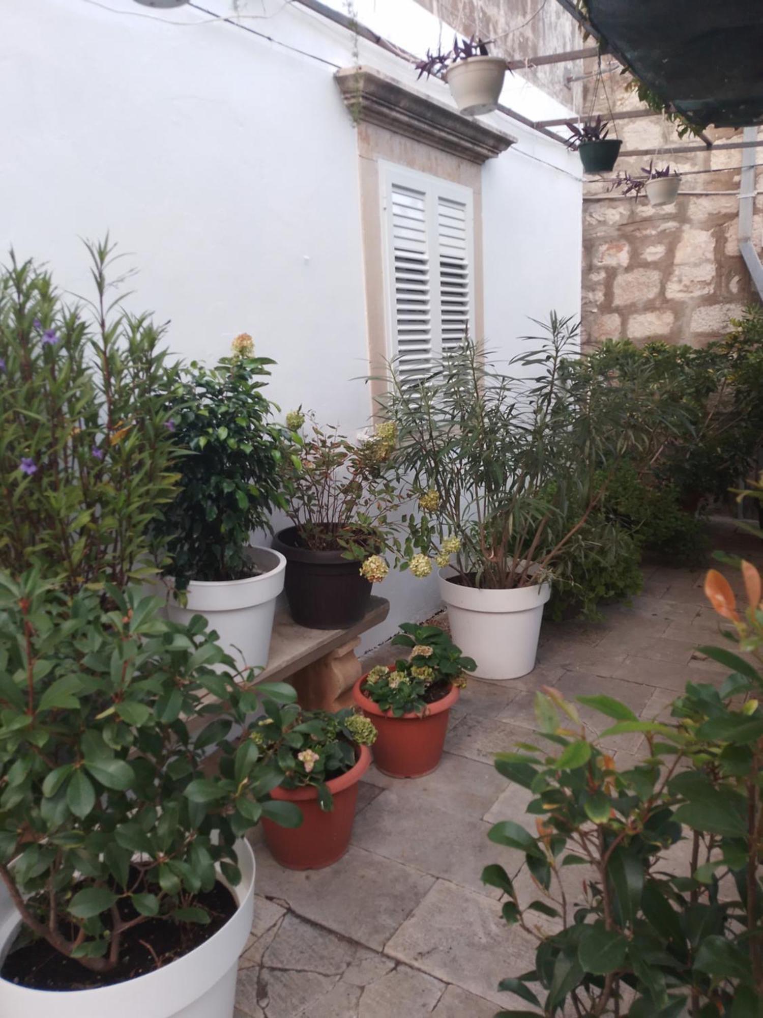 Appartement Ivanka *